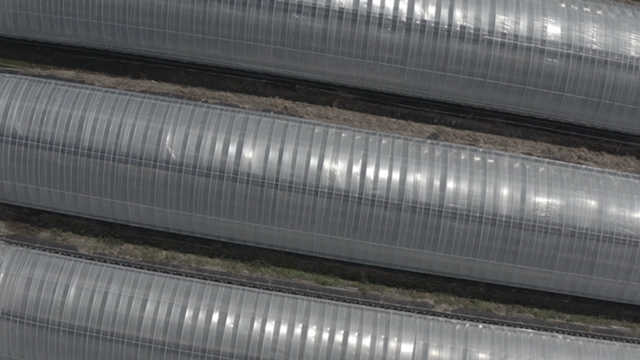 05 강태훈_SURPLUS CLOUD, 2021